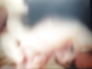 Amateur Blowjob Homemade
